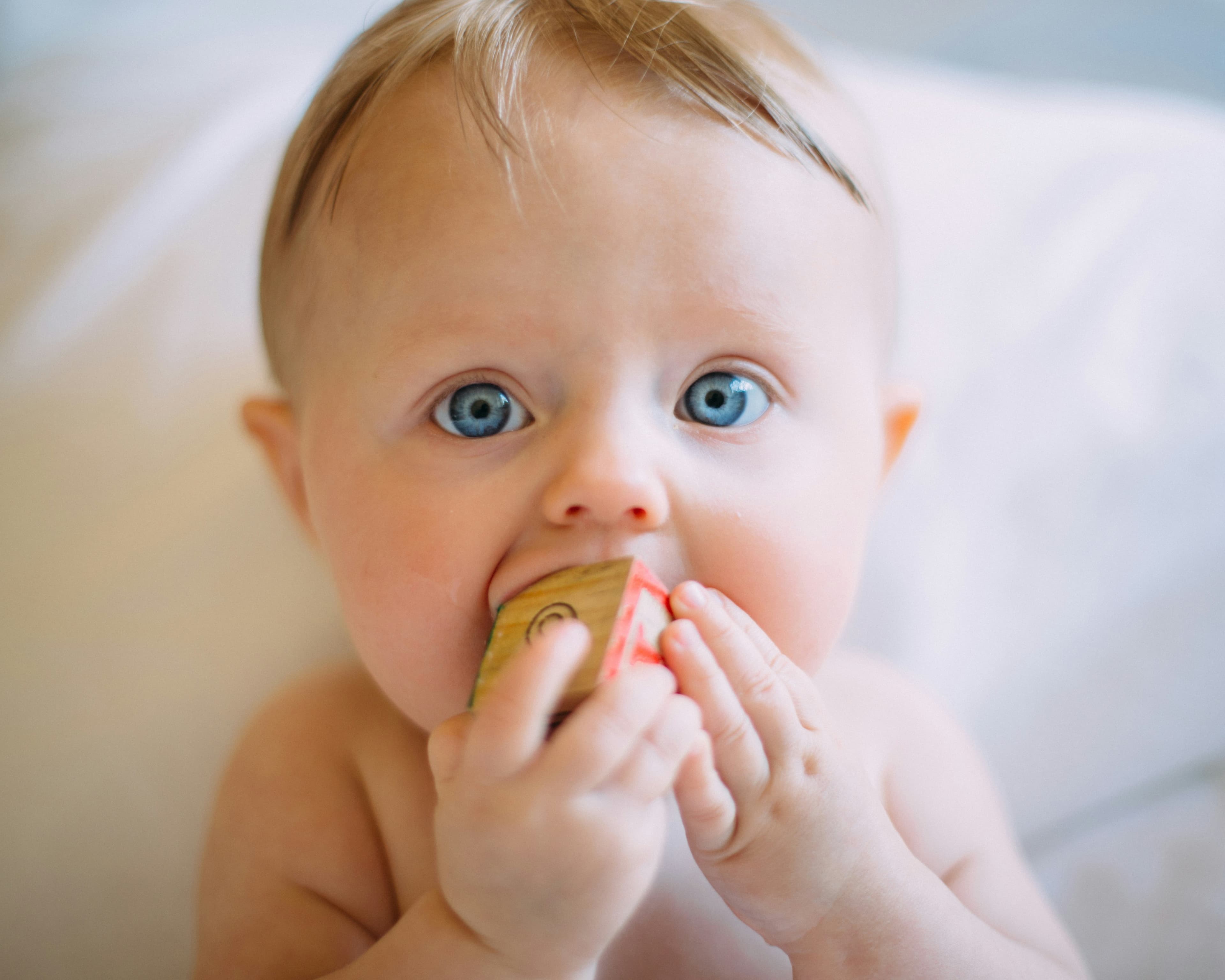 Neonatologia